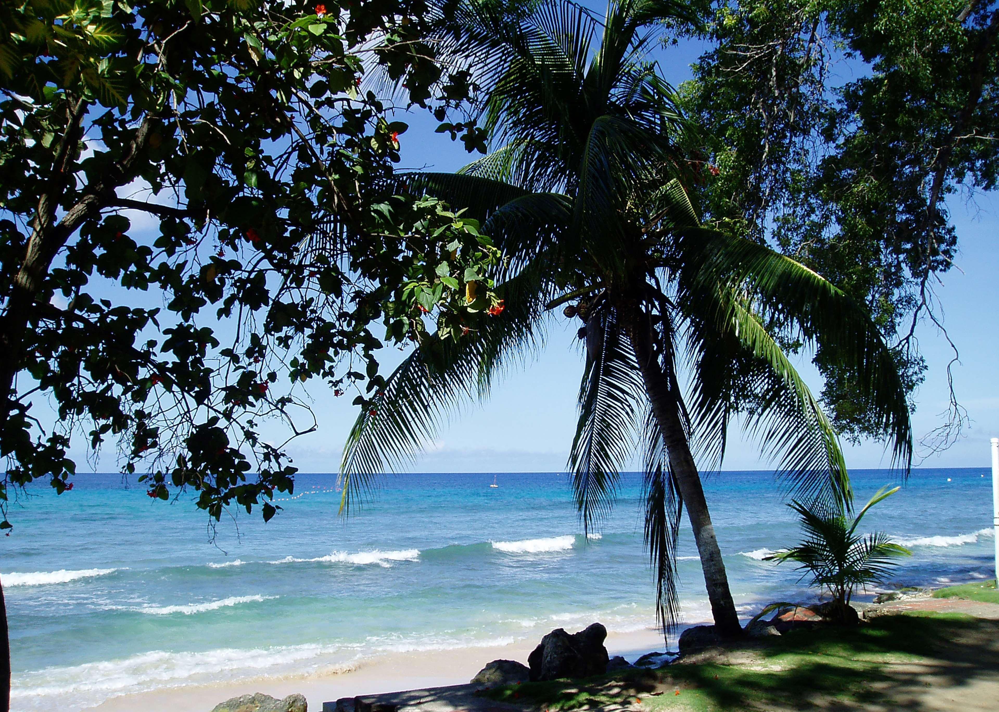 Divi Southwinds Beach Resort Крайст-Черч Экстерьер фото